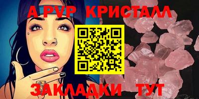 стаф Тверь