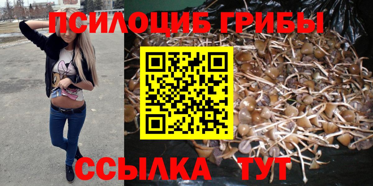 Псилоцибиновые грибы Psilocybine cubensis Серпухов