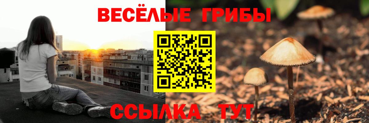 Галлюциногенные грибы GOLDEN TEACHER  Псилоцибиновые грибы Cubensis  Вход с VPN  Серпухов 
